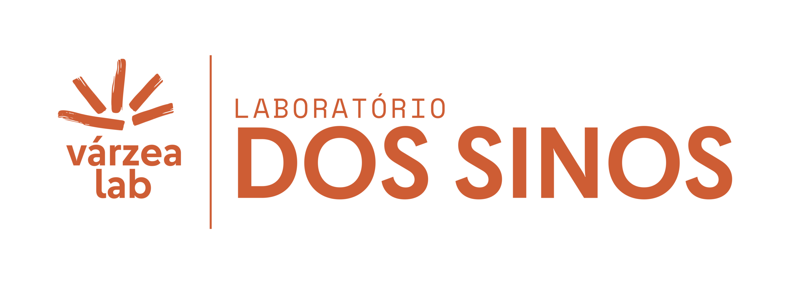 Logo Lab Dos Sinos - Varzea (colorido)