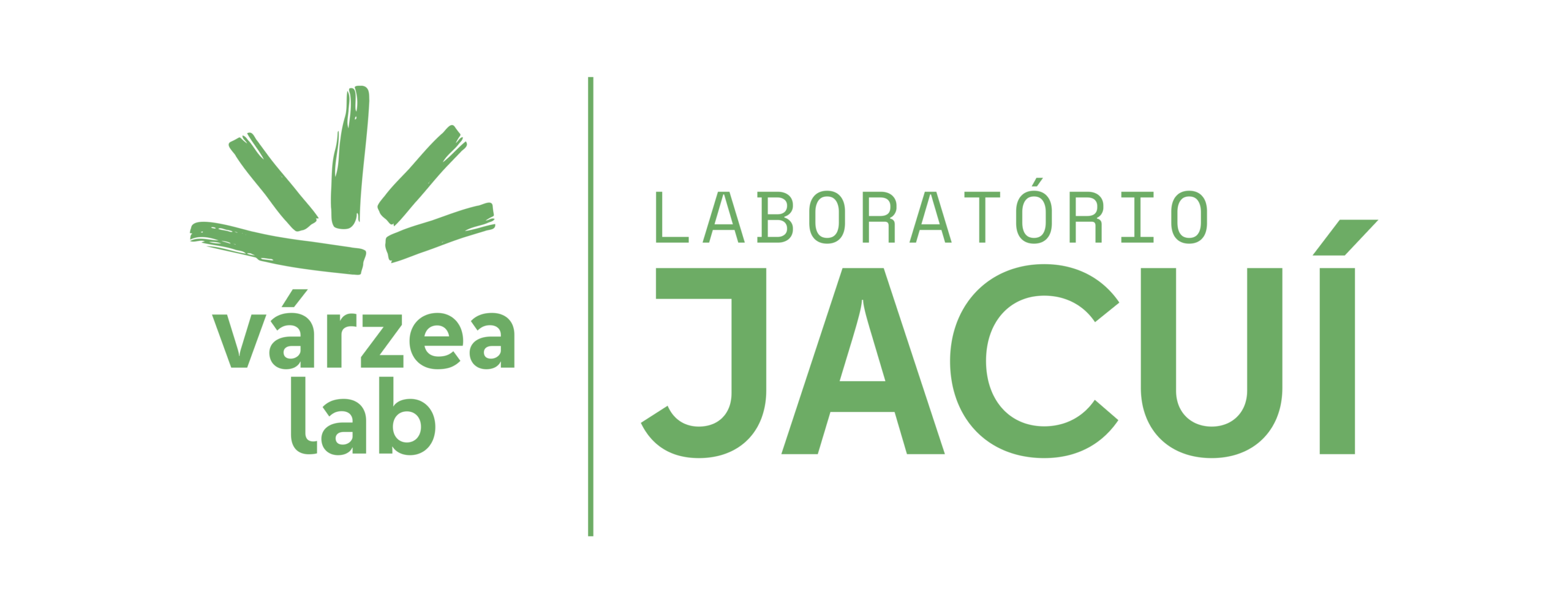 Logo Lab Jacui - Varzea (colorido)
